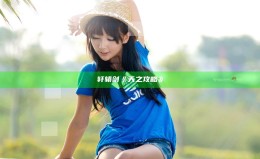 轩辕剑《 天之攻略 》 轩辕剑《 天之攻略 》
