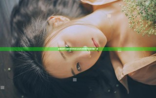 全面战争三国刘表任务怎么完成 刘表任务完成攻略一览