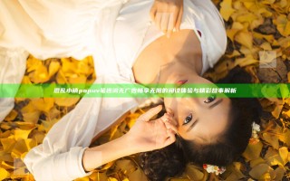 混乱小镇popuv笔趣阁无广告 畅享无阻的阅读体验与精彩故事解析