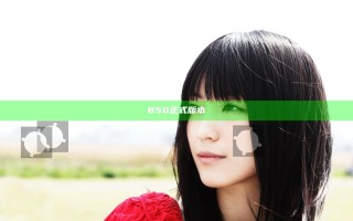 850正式版本