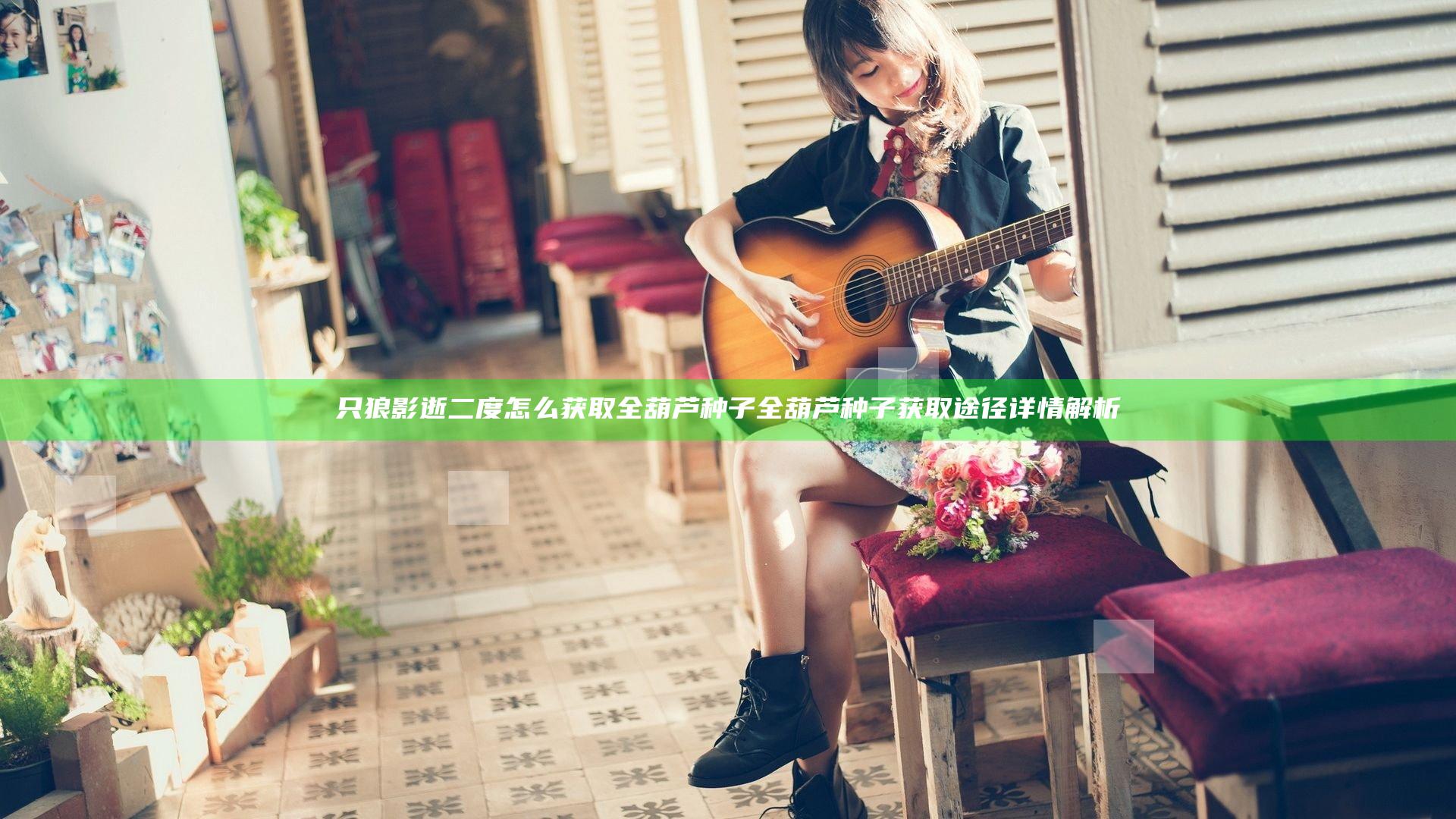 只狼影逝二度怎么获取全葫芦种子 全葫芦种子获取途径详情解析