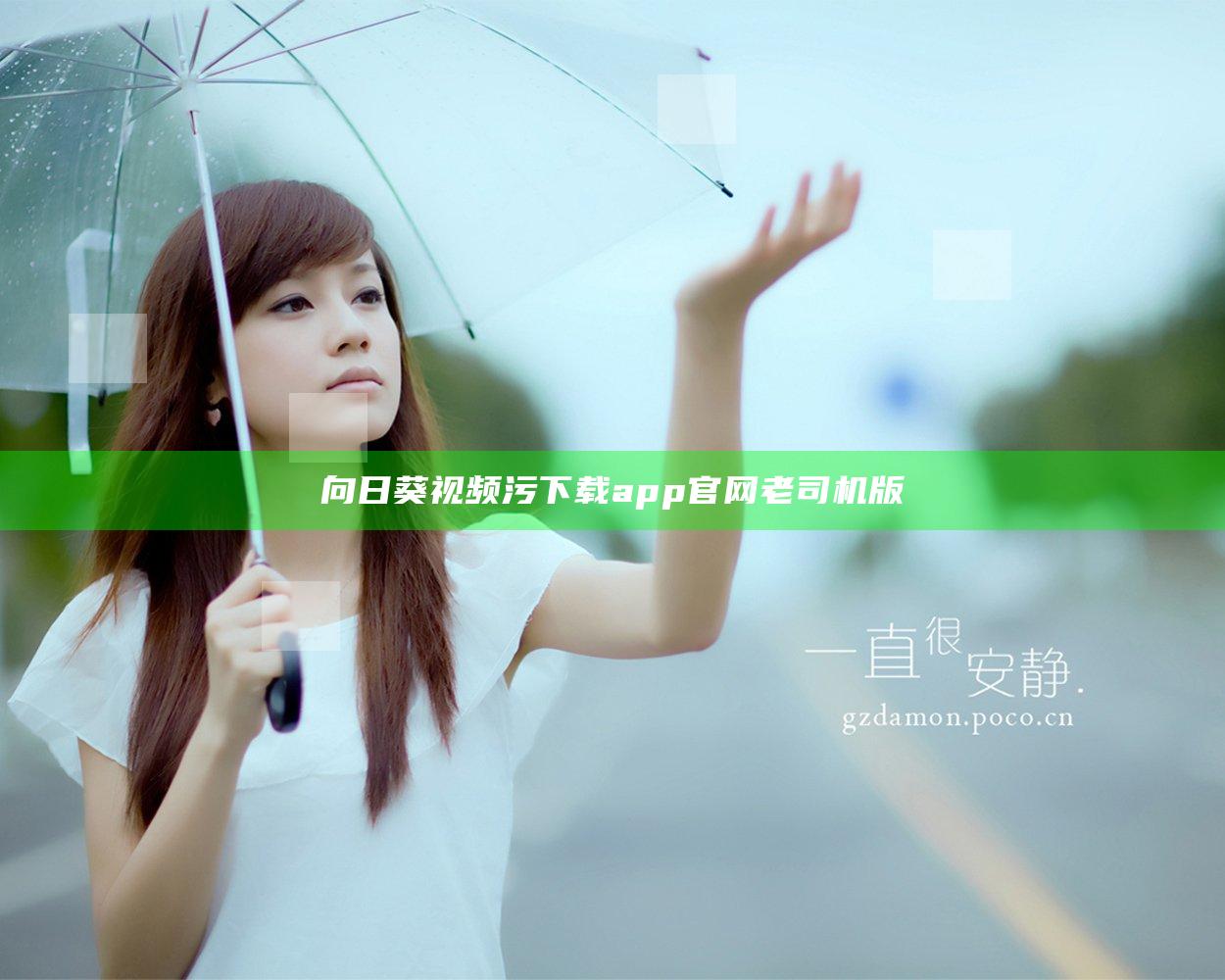 向日葵视频污下载app官网老司机版