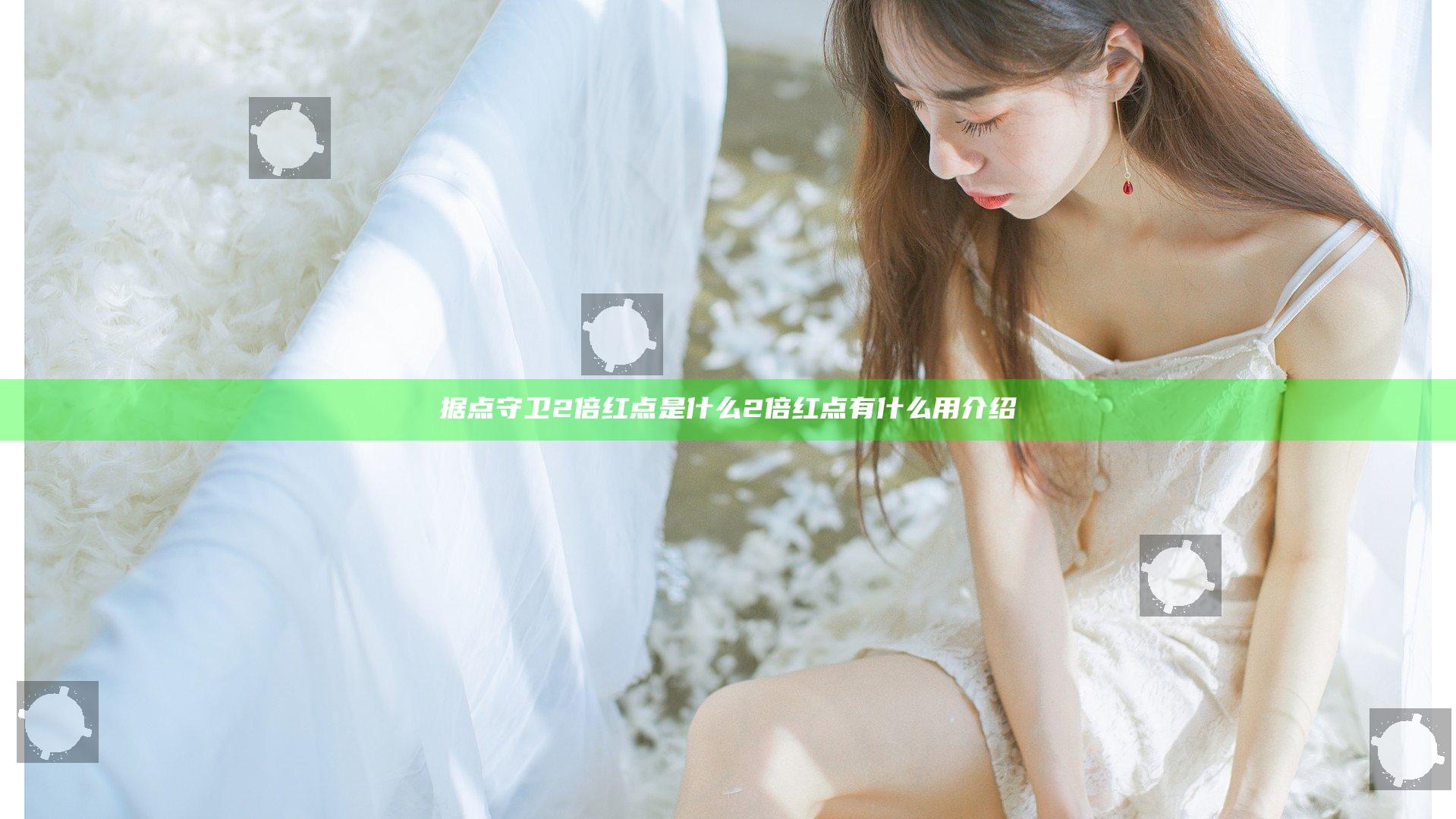 据点守卫2倍红点是什么 2倍红点有什么用介绍